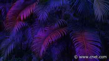 Here's How AI Can Help You Diagnose and Care for Your Plants