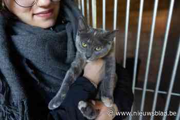 Hier kunnen dakloze jongeren terecht, mét hun huisdier: “Vaak een extra struikelblok”