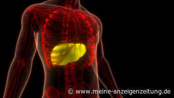 Fettleber heilen durch Ernährung: Diese sieben Obstsorten können helfen