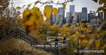 Quality of life survey sheds light on ‘people in peril’: Calgary Foundation