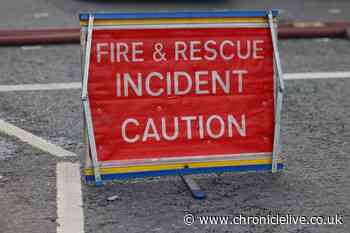 Firefighters battle to bring blaze at allotments in Wrekenton under control