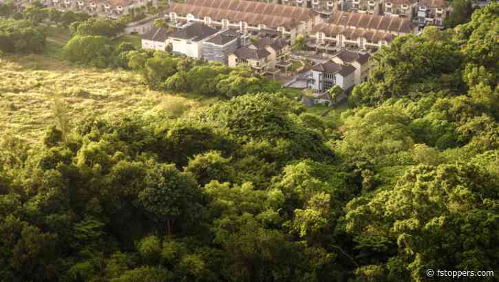 Dissecting How Exposure Shapes Our Composition