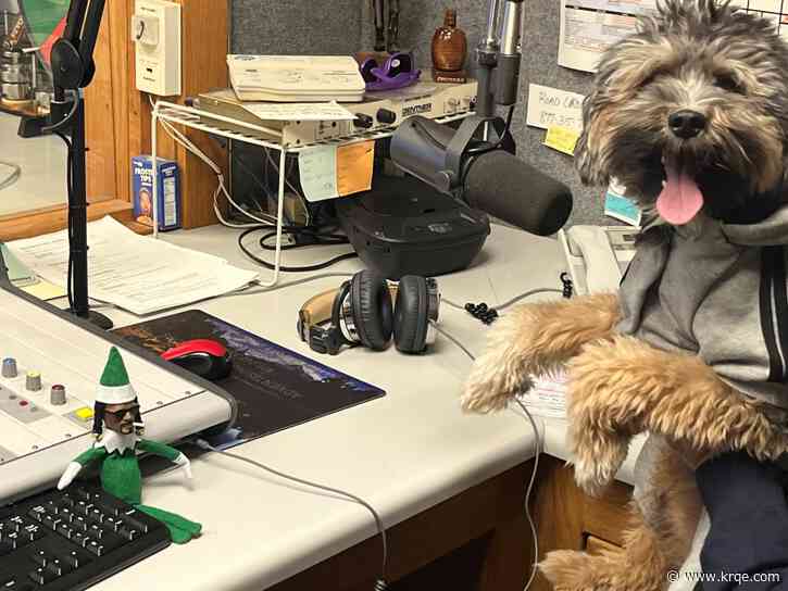 Radio station dedicated to dogs debuts in southern Colorado