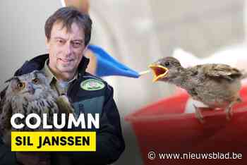 COLUMN. In Natuurhulpcentrum is het elke dag Werelddierendag