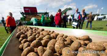 Ernüchternde Erntebilanz 2024 in Bayern: Krautfäule, Kälte und Regen wie aus Kübeln