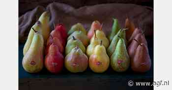 Een frisse wind voor de Italiaanse peren