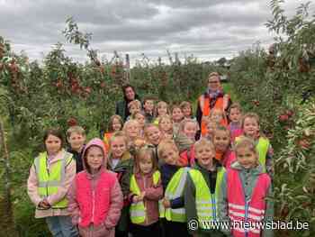 Leerlingen De Wegwijzer gaan op ontdekking in boomgaard van fruitbedrijf