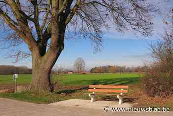 Gemeente stelt inwoners gerust over RUP Landelijke Woonfragmenten “Bestaande bouwrechten blijven behouden”