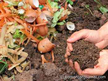 Growing Things: Composting in the ground a good approach