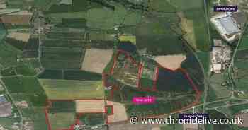 Massive County Durham solar farm project gets green light again after legal issue