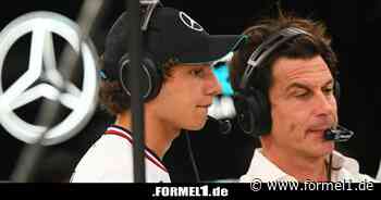 Helmut Marko über Andrea Kimi Antonelli: "Du kannst nicht alle haben"