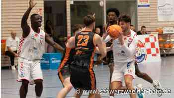 Basketball Regionalliga: Für Haiterbach wird’s intensiv
