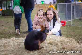 Beestig Eeklo keert terug in 2025: “Nog beter doen dan 10.000 bezoekers”
