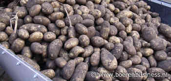 Aardappelmarkt in deze periode ongrijpbaar