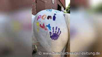 Harvesse startet Trauergruppe  für Kinder: Ponys sollen helfen