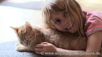 Hier sind die süßesten Fotos unserer Leser zum Welttiertag am 4. Oktober