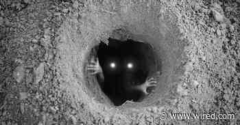 She Asked TikTok If Her House Was Haunted. Then the Cops Came