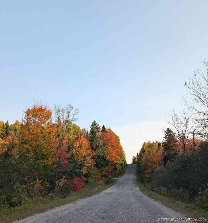 The best time to see colour in Algonquin Park is right now 