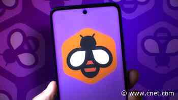 Learn a New Language With Access to Beelinguapp for Life at Just $35