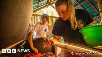 Students to benefit from £1.2m grant to travel abroad