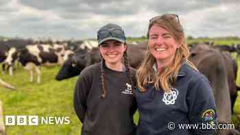 Dairy industry struggling to recruit next generation