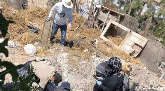 Search groups ask Baja for picture-walls of missing persons