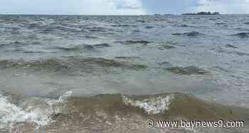 Red tide detected in Pinellas County in the wake of Hurricane Helene