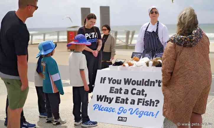 PETA Serves Up Fresh “Kitten Fillets” at Surfers Paradise