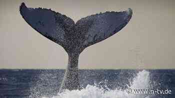 Eine für alle: Mit dem Papst, Michael und Paul ins Wochenende