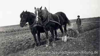 Letzte Ausgabe? Groß Brunsroder Kalender 2026 in Gefahr