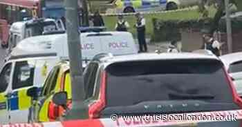 Kids, 4 and 6, and woman in hospital after being attacked by four dogs in Orpington