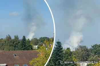 Grote rookpluim van ver te zien nadat haag vuur vat: “Vermoedelijk ontstaan tijdens onderhoudswerken”