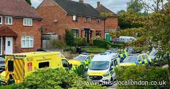 Arrest made after two children, 4 and 6, and woman attacked by four dogs in Orpington