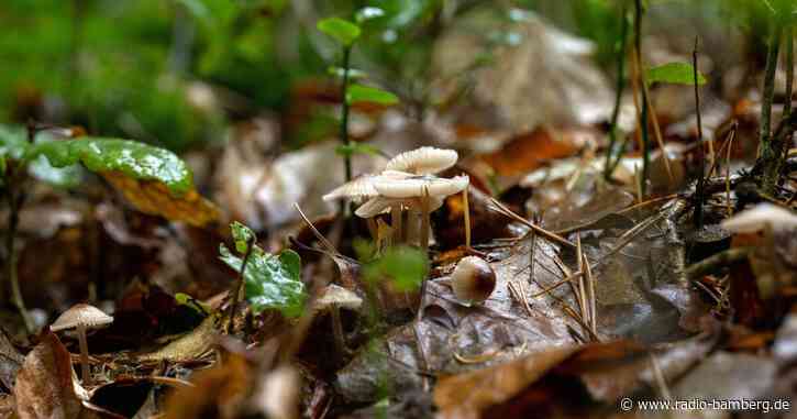 Höhere Temperaturen in Sicht – Sonne am letzten Wiesn-Tag