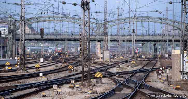 Frau hält Einsatzkräfte wegen verletzter Taube auf Trab