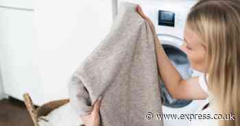 'I'm a cleaning expert - there's one thing to never do when washing knitwear'