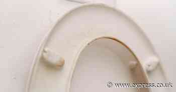 Remove toilet seat stains with 1 ‘magic’ item cleaner claims ‘worked when bleach wouldn’t’