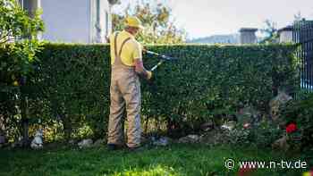 Schnittverbot beendet: Herbst: Muss ich jetzt zur Gartenschere greifen?