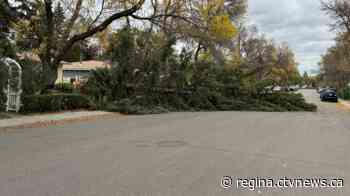 Wind gusts around 100 km/h hammer Regina, southern Sask.