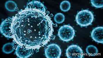 US provides $72M to vaccine manufacturers to advance bird flu shot preparedness