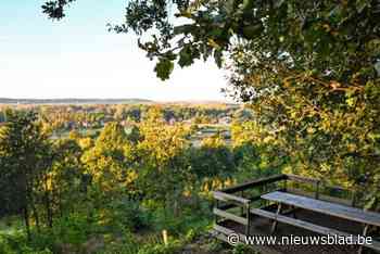 Wijngaardbergwandeling vernieuwd met zitbanken en infoborden: “Natuur ontdekken op een comfortabele manier”
