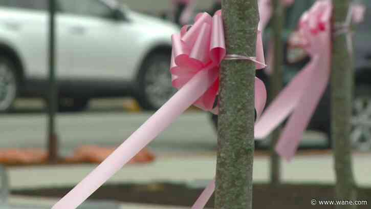 Pinkify Fort Wayne with Ribbons for Research
