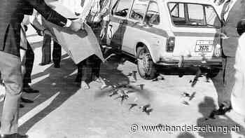 Die Swissair flog 1974 bedrohte Schwalben in südliche Gefilde