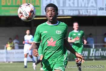 Gemiste strafschop houdt HO Veltem van zege tegen Stormvogels Haasrode: “Wat vorig seizoen allemaal meezat, zit dit seizoen allemaal tegen”