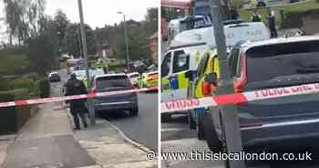 Orpington man describes chilling moment he pulled children away from attacking dogs
