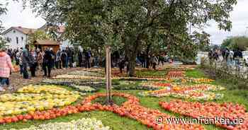 Kürbisfest Altendorf 2024: Wir haben die Bilder