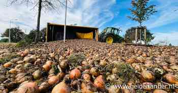 Berm vol uien door gekantelde aanhanger op rotonde bij Neede