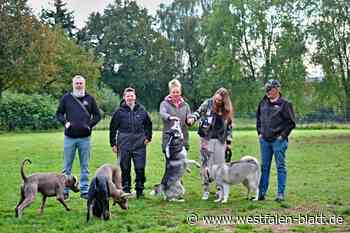 Hundewiesen-Streit in Herford: „Wir werden angefeindet und beleidigt!“