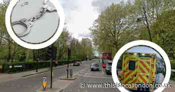 Two arrested after man in his 50s and dog stabbed during fight at popular park