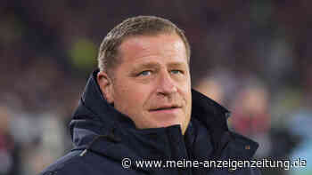 Bayern-Boss Eberl poltert und schlägt deutliche Töne an